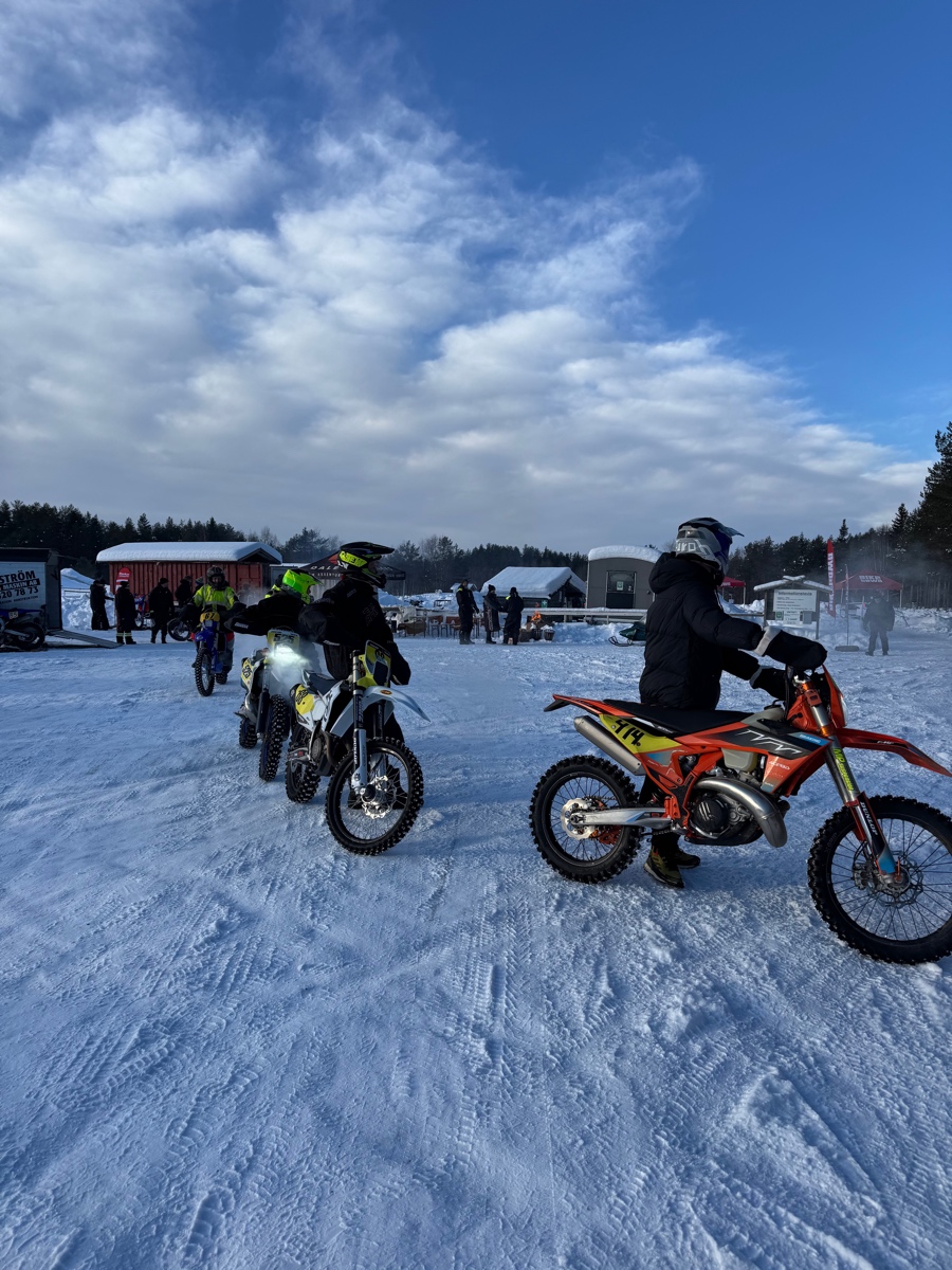 Tallhed feb 2026   2